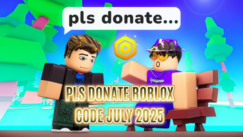 Code Pls Donate Roblox