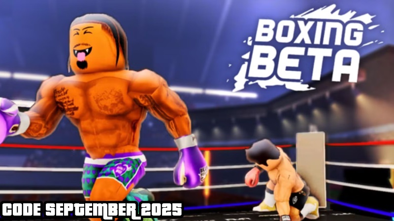 code boxing beta