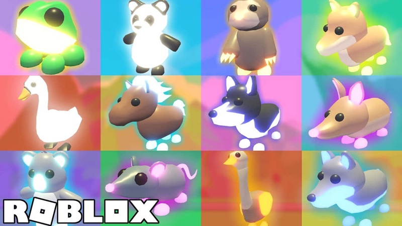 adopt me pet rarity tips