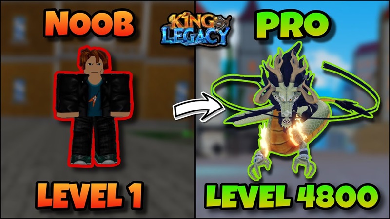 Rute Leveling Cepat
