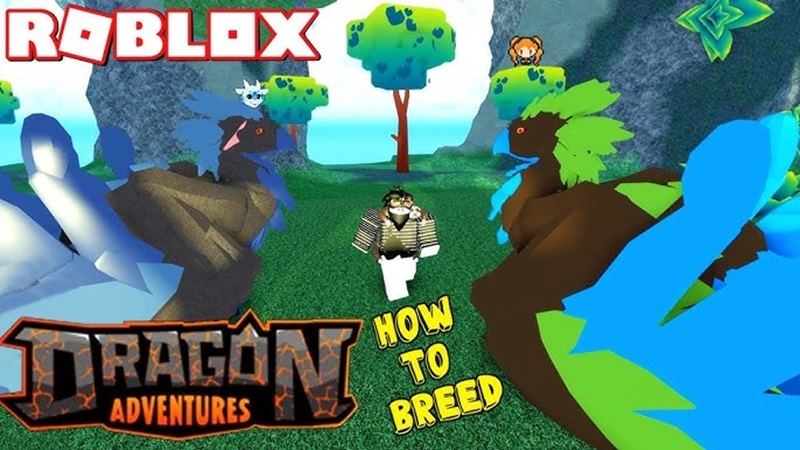 cara breeding Dragon Adventures