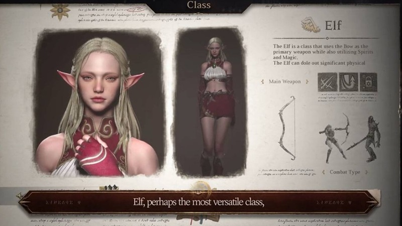Class Lineage W